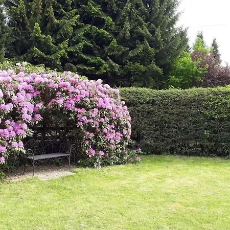 בית נופש Caro By Interhome Kirburg